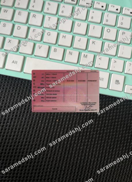 Central African driving license photolook back